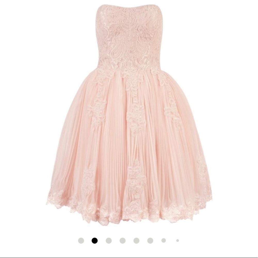 NWT Ted Baker Lace Light Pink Dress